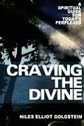 Craving the Divine: A Spiritual Guide for Today's Perplexed
