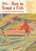 How to Tempt a Fish A Complete Guide to Fishing