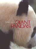 Smithsonian Book Of Giant Pandas