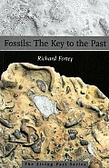 Fossils The Key To The Past