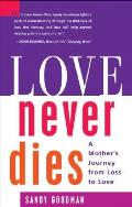 Love Never Dies A Mothers Journey From