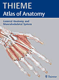 Thieme Atlas of Anatomy General Anatomy & Musculoskeletal System 1st Edition