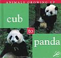 Cub To Panda Animals Growing Up