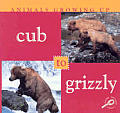 Animals Growing Up Cub To Grizzly