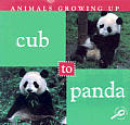 Cub To Panda