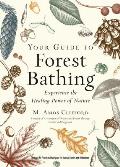 Your Guide to Forest Bathing Expanded Edition Experience the Healing Power of Nature