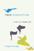 True Perception: The Path of Dharma Art