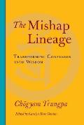 The Mishap Lineage: Transforming Confusion into Wisdom