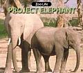 Project Elephant Zoo Life