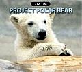 Project Polar Bear Zoo Life