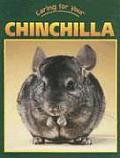 Caring for Your Chinchilla
