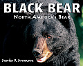 Black Bear North Americas Bear