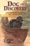 Dog Of Discovery A Newfoundlands Adventu