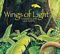 Wings of Light The Migration of the Yellow Butterfly