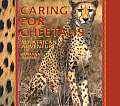 Caring For Cheetahs