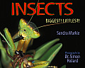 Insects Biggest Littlest