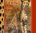 Caring for Cheetahs My African Adventure