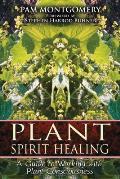 Plant Spirit Healing A Guide to Working with Plant Consciousness