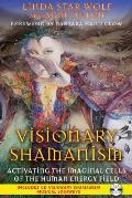 Visionary Shamanism Activating the Imaginal Cells of the Human Energy Field