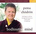 Bodhisattva Mind: Teachings to Cultivate Courage and Awareness in the Midst of Suffering