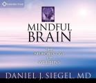 Mindful Brain The Neurobiology of Well Being