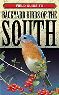 Field Guide To Backyard Birds Of The South