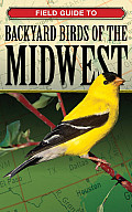 Field Guide To Backyard Birds Of The Midwest