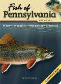 Fish Of Pennsylvania Field Guide