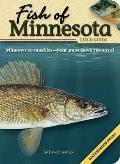 Fish Of Minnesota Field Guide