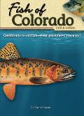 Fish Of Colorado
