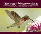 Amazing Hummingbirds Unique Images & Characteristics