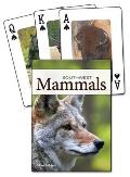 Mammals of the Southwest