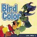 Bird Color