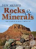 New Mexico Rocks & Minerals