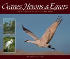 Cranes Herons & Egrets