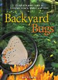 Backyard Bugs An Identification Guide to Common Insects Spiders & More