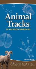 Animal Tracks of the Rocky Mountains: Your Way to Easily Identify Animal Tracks
