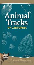Animal Tracks of California: Your Way to Easily Identify Animal Tracks