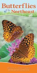 Butterflies of the Northeast: Identify Butterflies with Ease