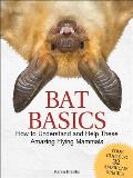 Bat Basics How to Understand & Help These Amazing Flying Mammals