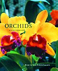 Orchids A Care Manual