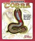 Uncover A Cobra Take A Three Dimensional