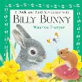 Peek & Find Adventure With Billy Bunny