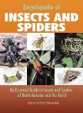 Encyclopedia Of Insects & Spiders An Essential