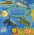 Animal Explorers A Swim In The Ocean