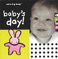 Amazing Baby Babys Day Board Book