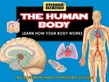 Human Body Learn How Your Body Works