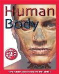 Human Body The Ultimate Guide to How the Body Works With 2 Posters