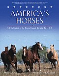 Americas Horses A Celebration of the Horse Breeds Born in the USA