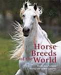 Horse Breeds Of The World